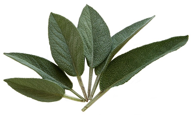 sage-74326_640.jpg