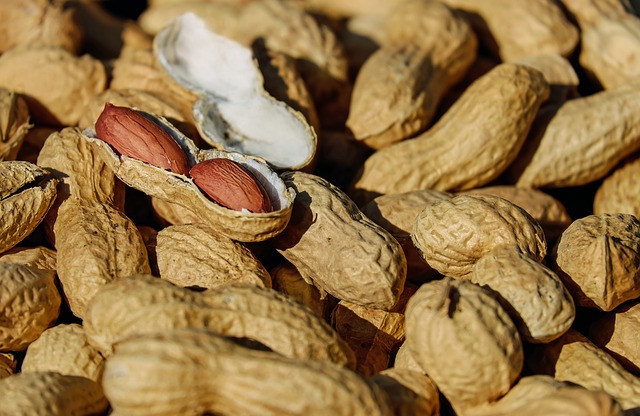 nuts-1736520_640