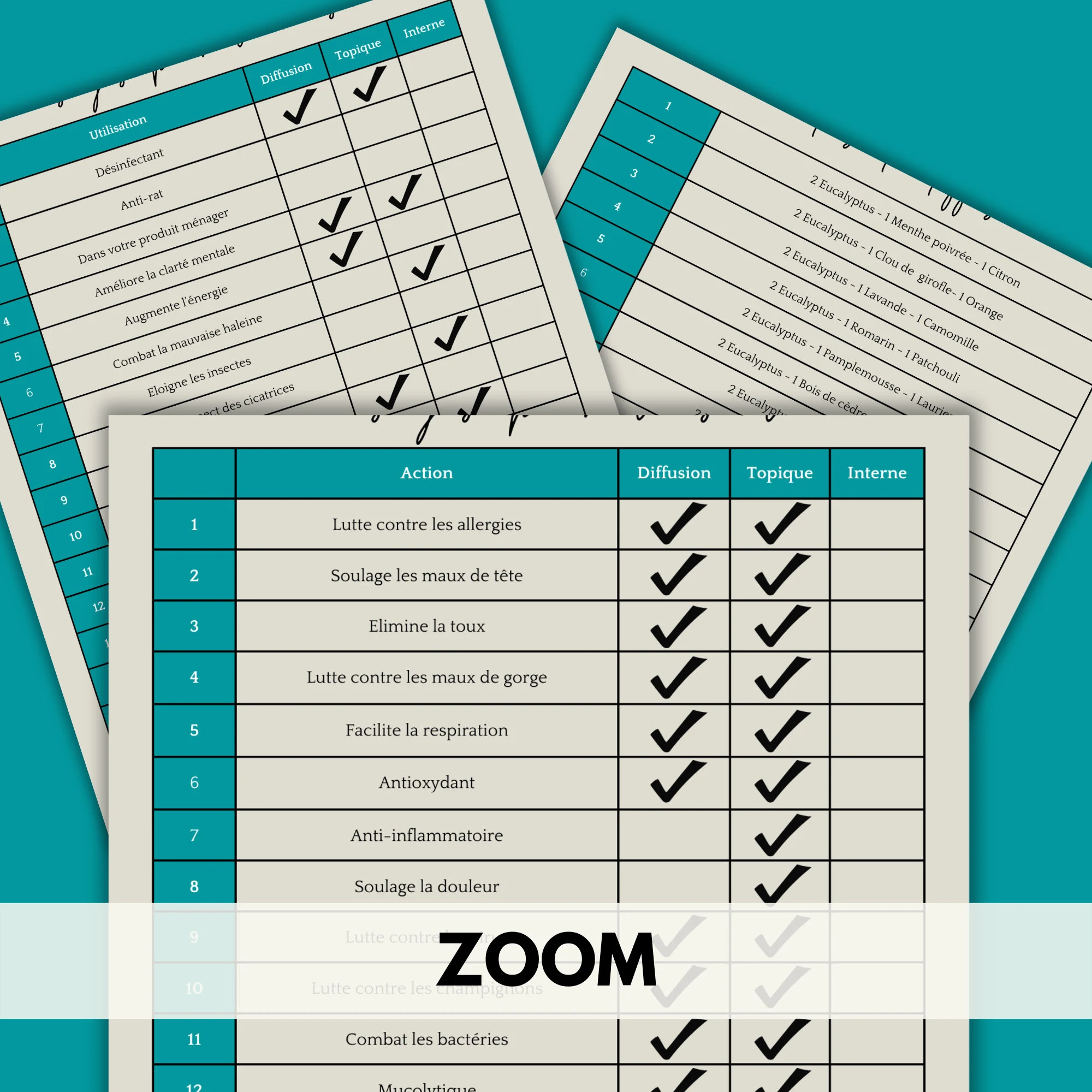 Fiche téléchargeable – Huile essentielle d'eucalyptus : 60 utilisations – Image 3
